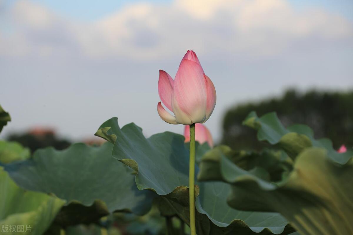 从广州佛山出发的旅游攻略,广州鹤山市旅游