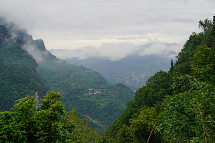 三峡人家原创诗词,三峡人家源头