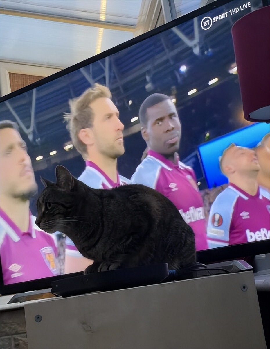 法国足球目前现状,回顾欧洲足坛今年暴力事件