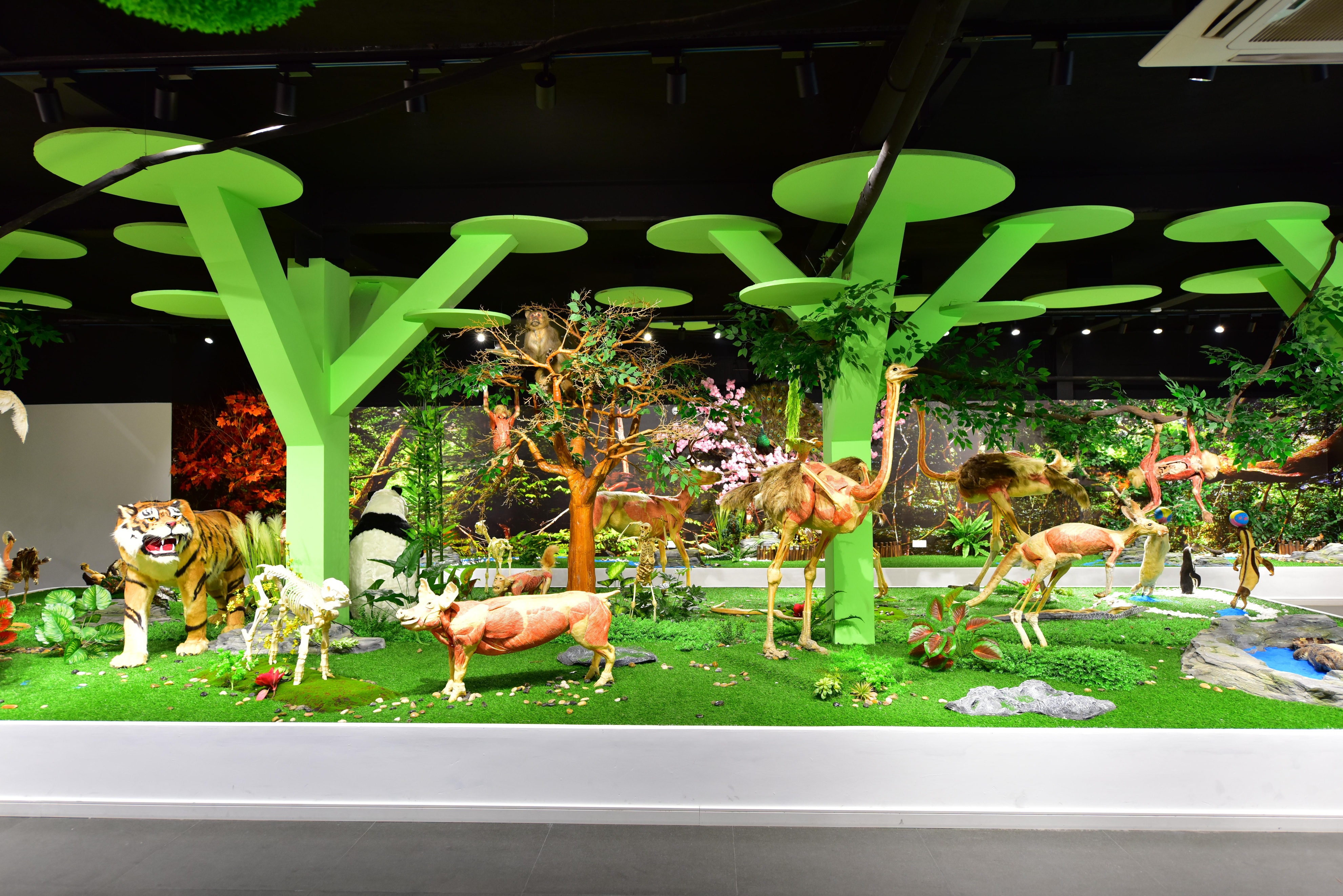 郑州春节遛娃游玩排行榜前十名,郑州冬季周末遛娃好去处