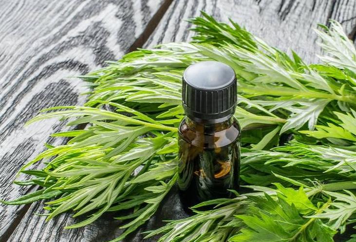 用艾叶熬水洗头3个月有什么变化,艾叶煮水洗头六个月后身体变化