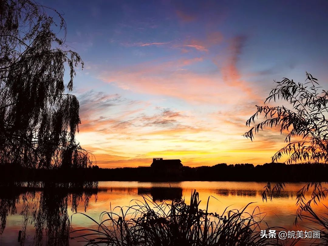 安徽大学好看的风景,高校最美秋景