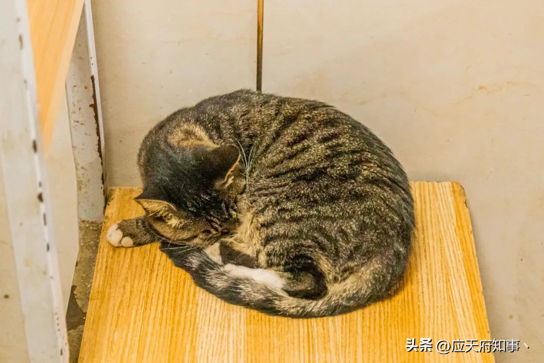 南京宝藏玩乐地点,南京宝藏店铺吃饭