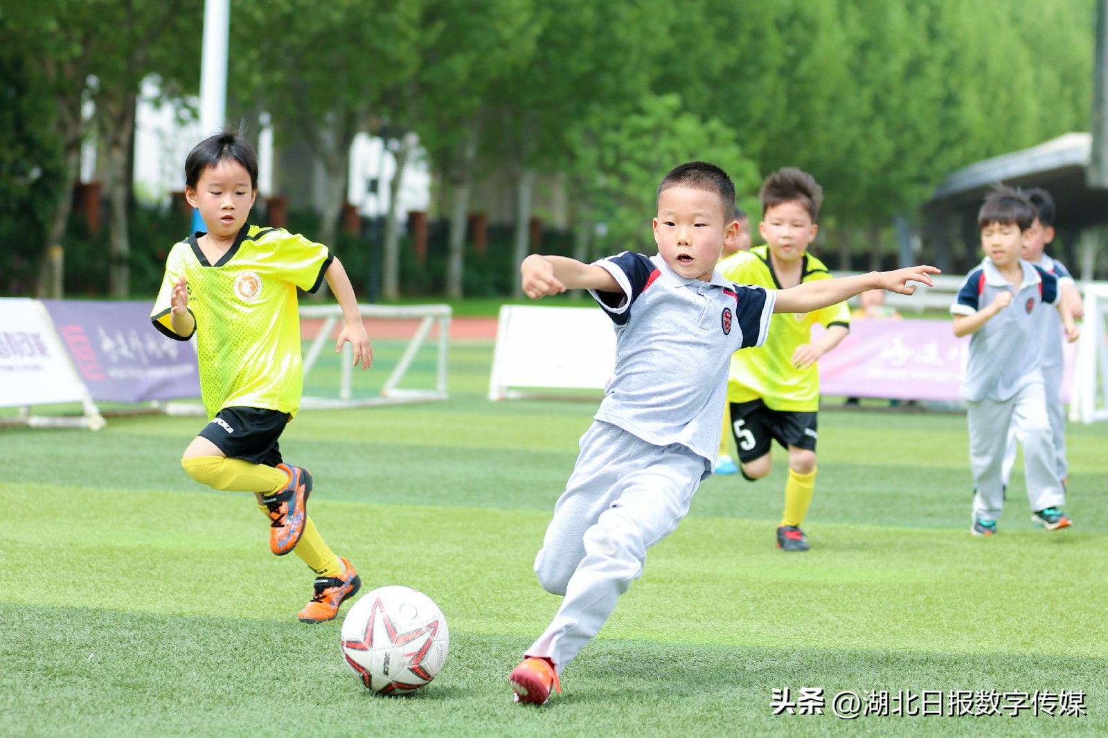 幼儿园孩子踢足球创意视频,足球比赛萌娃看台