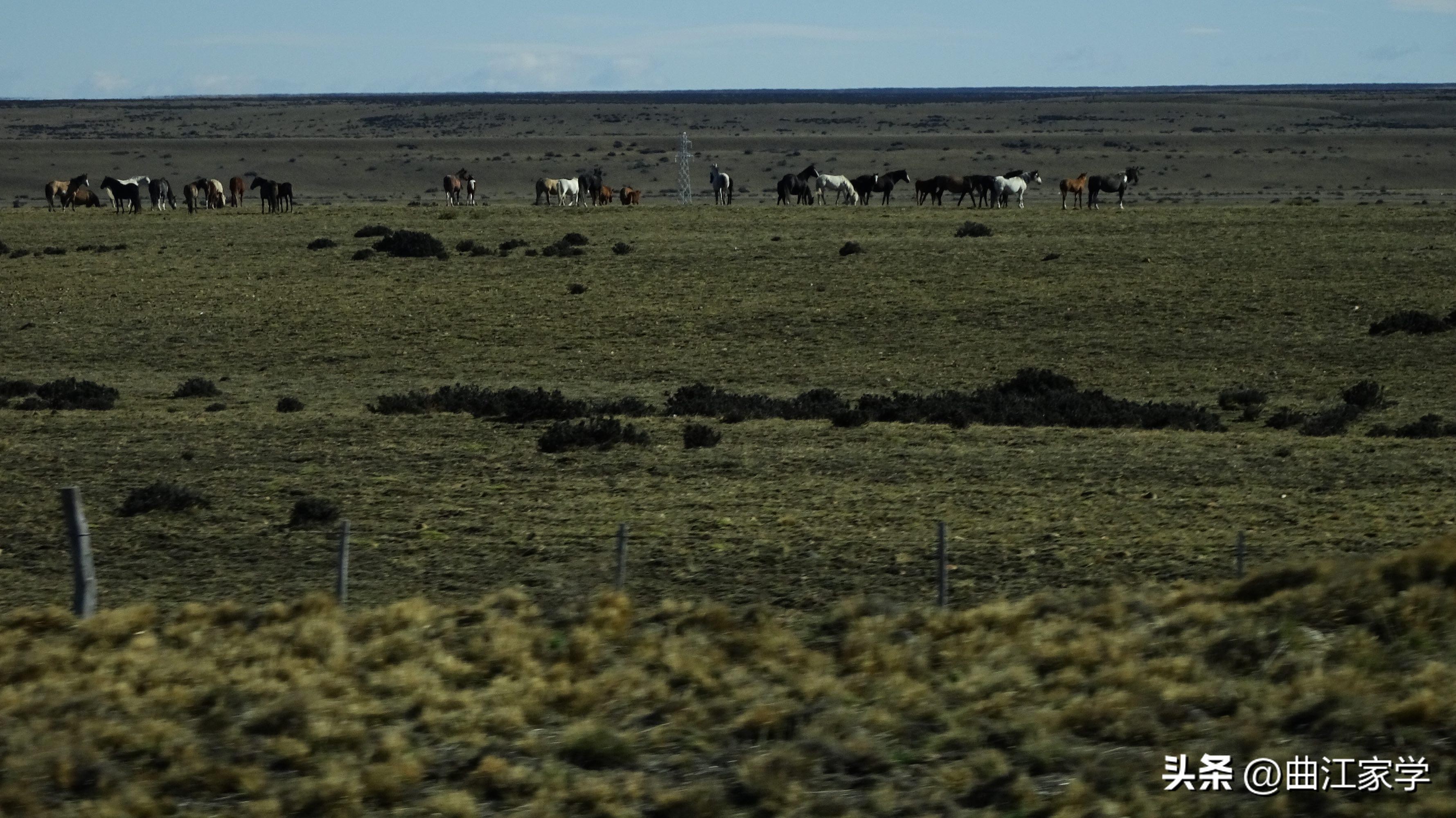 阿根廷与生俱来的气质,阿根廷与生俱来的悲情气质