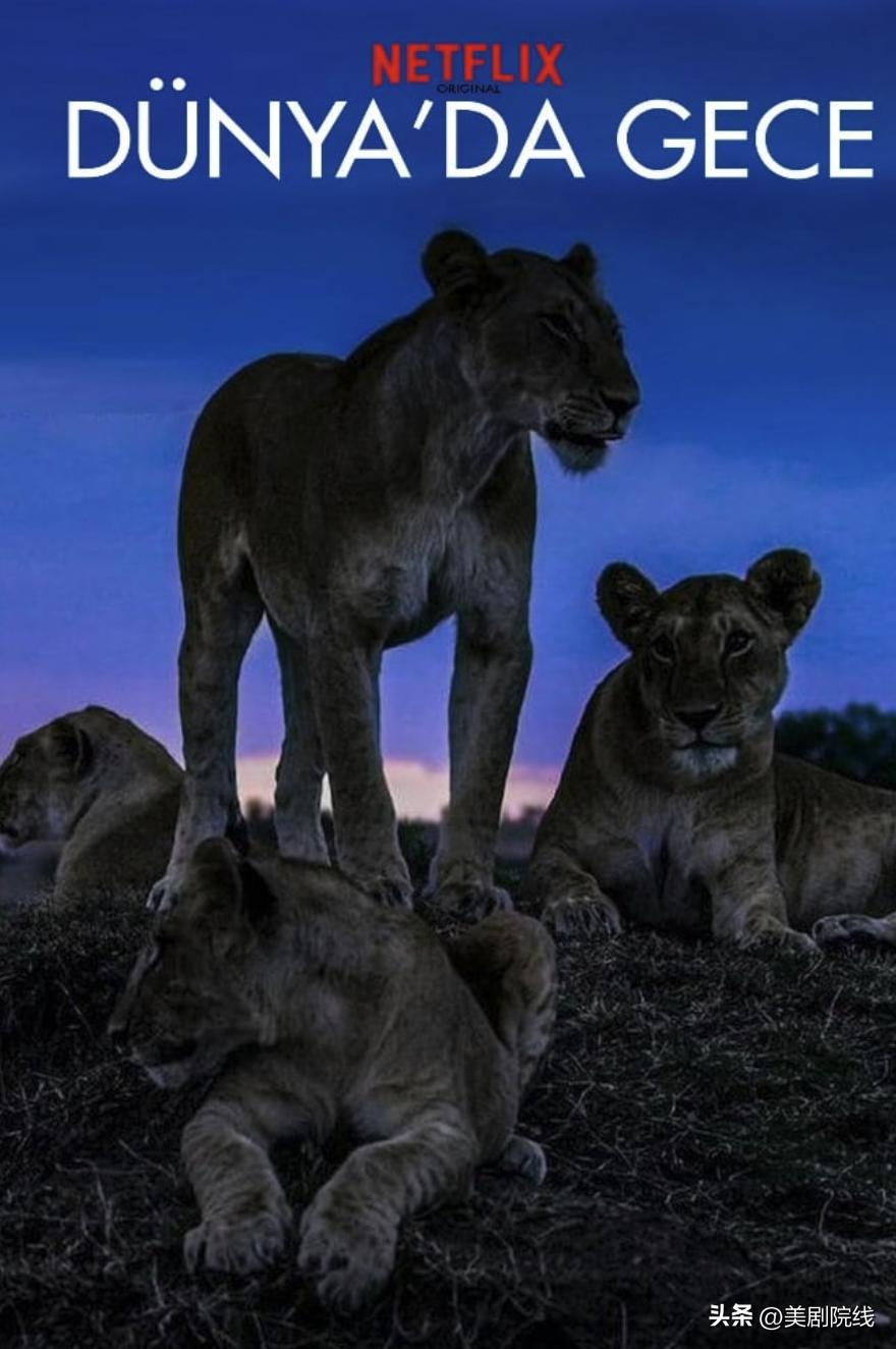 硬盘必看的十部电影,4k蓝光硬盘电影大片