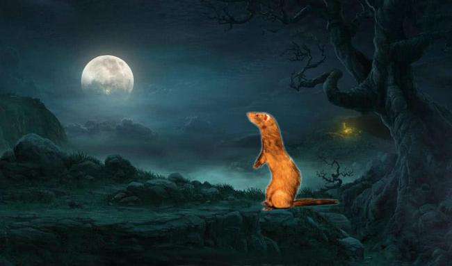 天下霸唱真的了解历史吗,天下霸唱是不是把鬼吹灯全写了