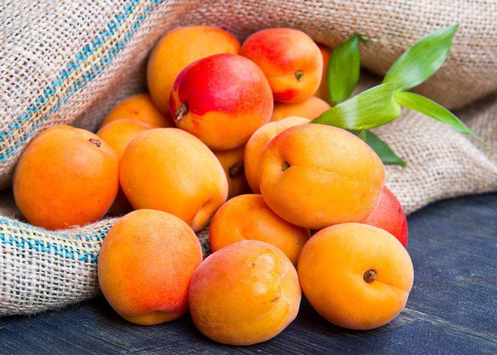 又到了麦稍要黄的季节，北方的这4种水果，也到了成熟的时刻