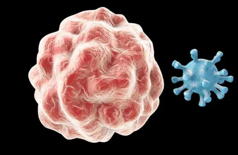 癌症根本不需要治，治好的都是误诊了？医生告诉你4个真相