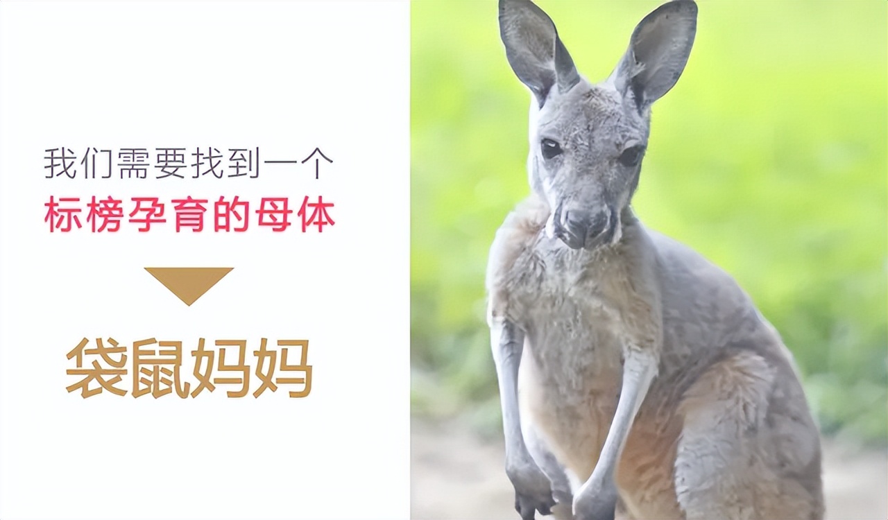 新消费品牌该如何推向市场,电商新消费平台有什么优势