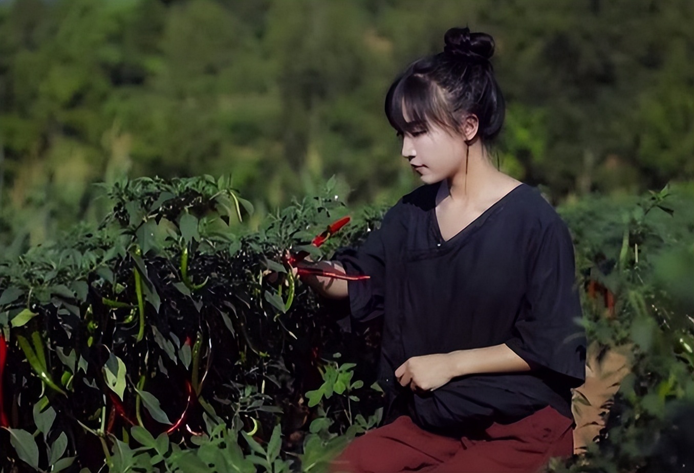 李子柒停更一年，外网视频*放播**还能产生广告收益，高达78万元每月