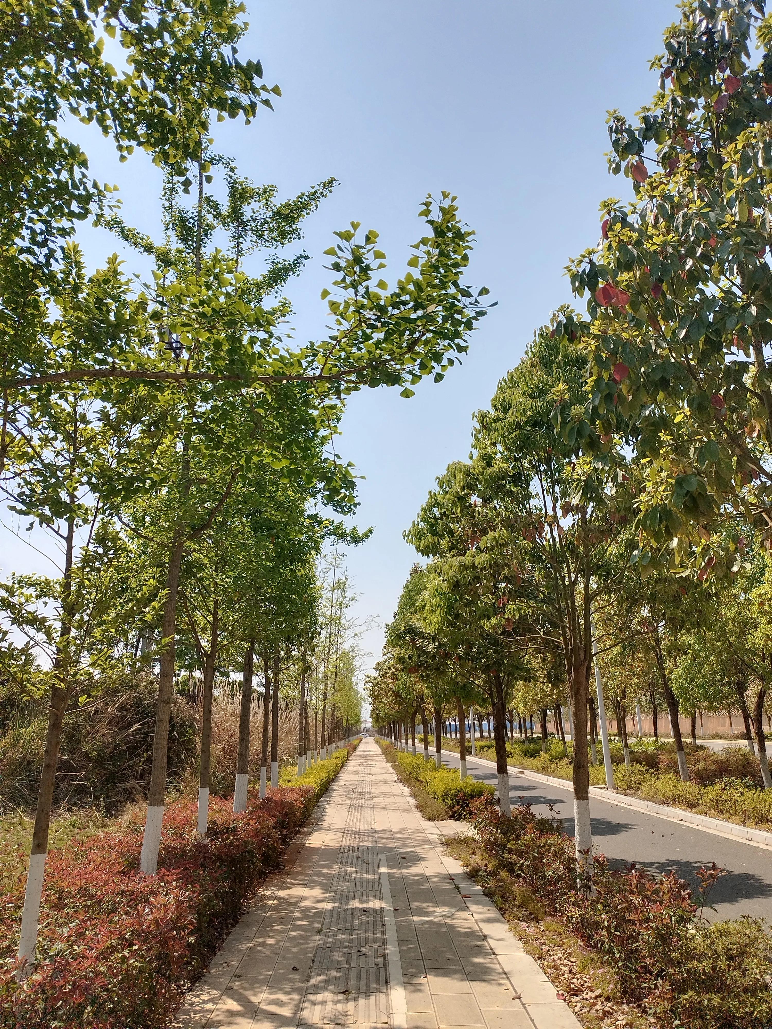 简单快乐每一天,快乐来自于简单