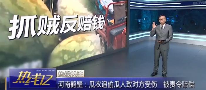 瓜农抓了偷瓜贼一人罚2个西瓜,瓜农抓到偷瓜贼却要倒赔300元