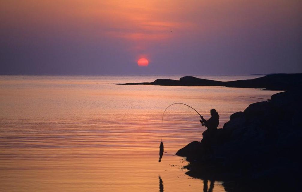 新手钓鱼入门基本知识,水库钓鱼技巧新手入门