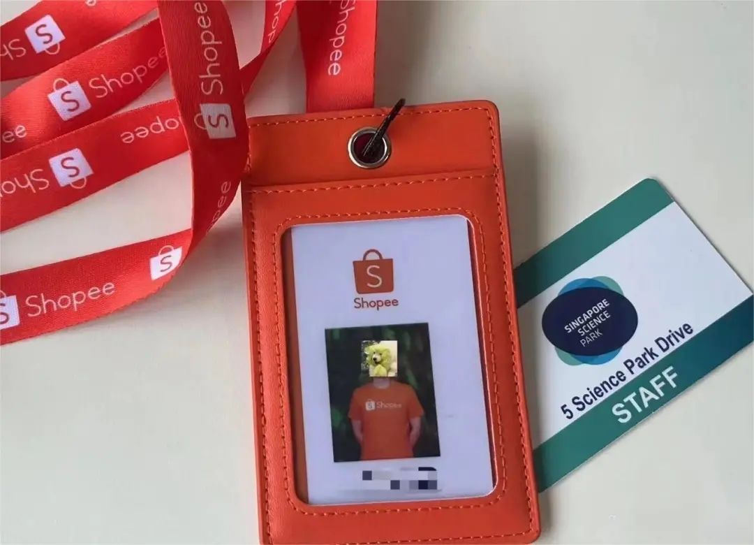 新加坡淘金视频,新加坡淘金