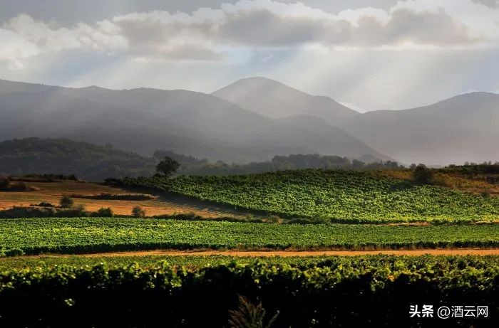 西班牙葡萄酒产区大全,西班牙十大葡萄酒品牌大全