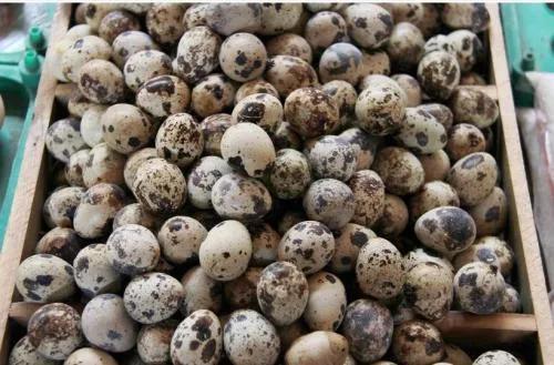 实用生活小技巧解决日常烦恼,日常生活小常识轻松解决