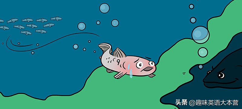 fightlikecatanddog是啥意思?关于小猫小狗的英语习语学起来