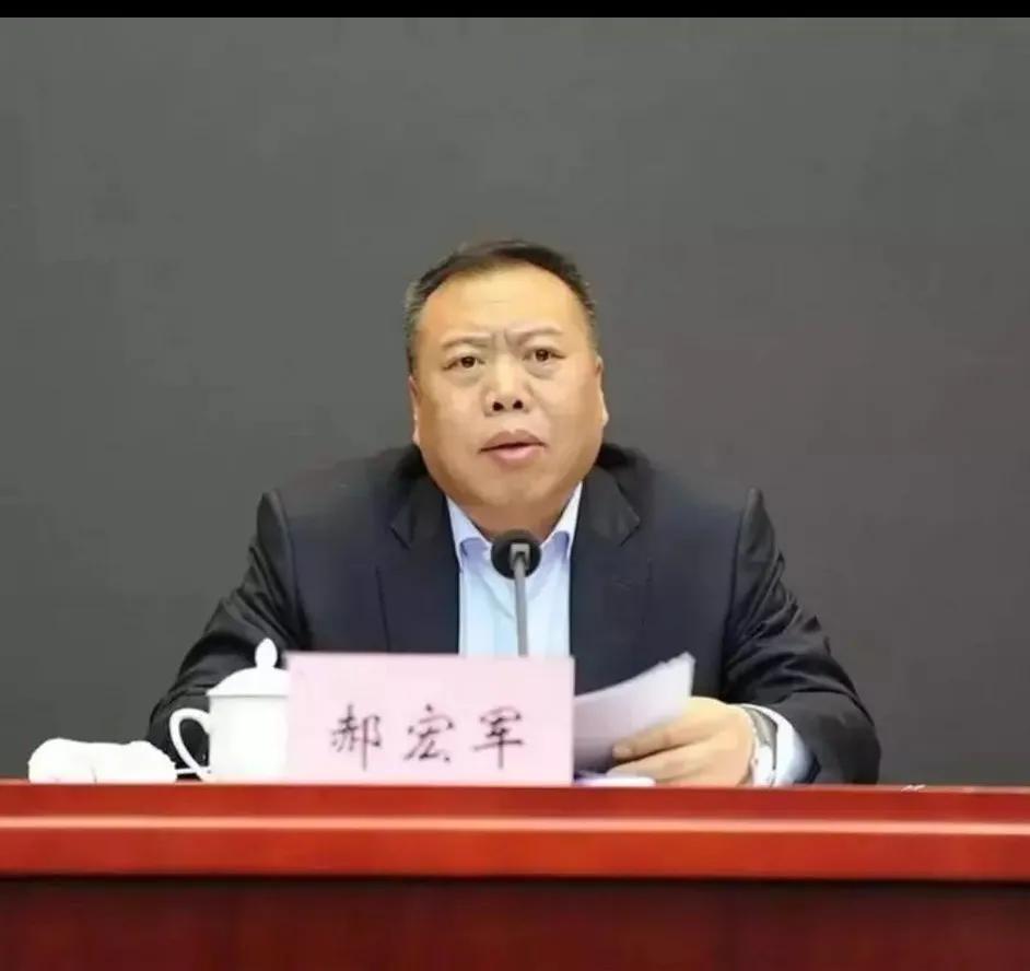 十年来全面从严治党打虎拍蝇,零容忍第二集打虎拍蝇观后感