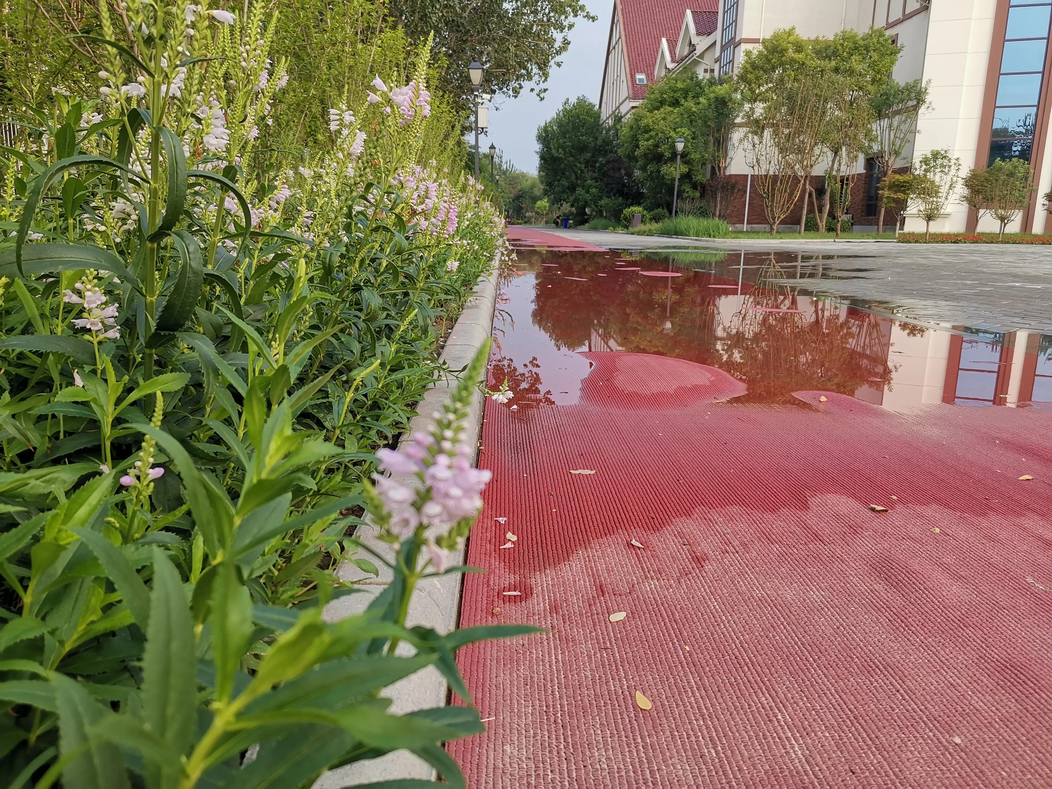 天津将再添大型全民健身活动基地,全民健身日天津