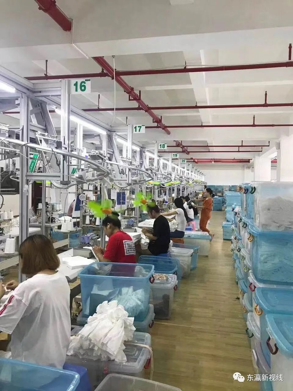 “内衣出口大王”谢敦敏:把内衣做成跨国传奇,赢得中日同行赞誉