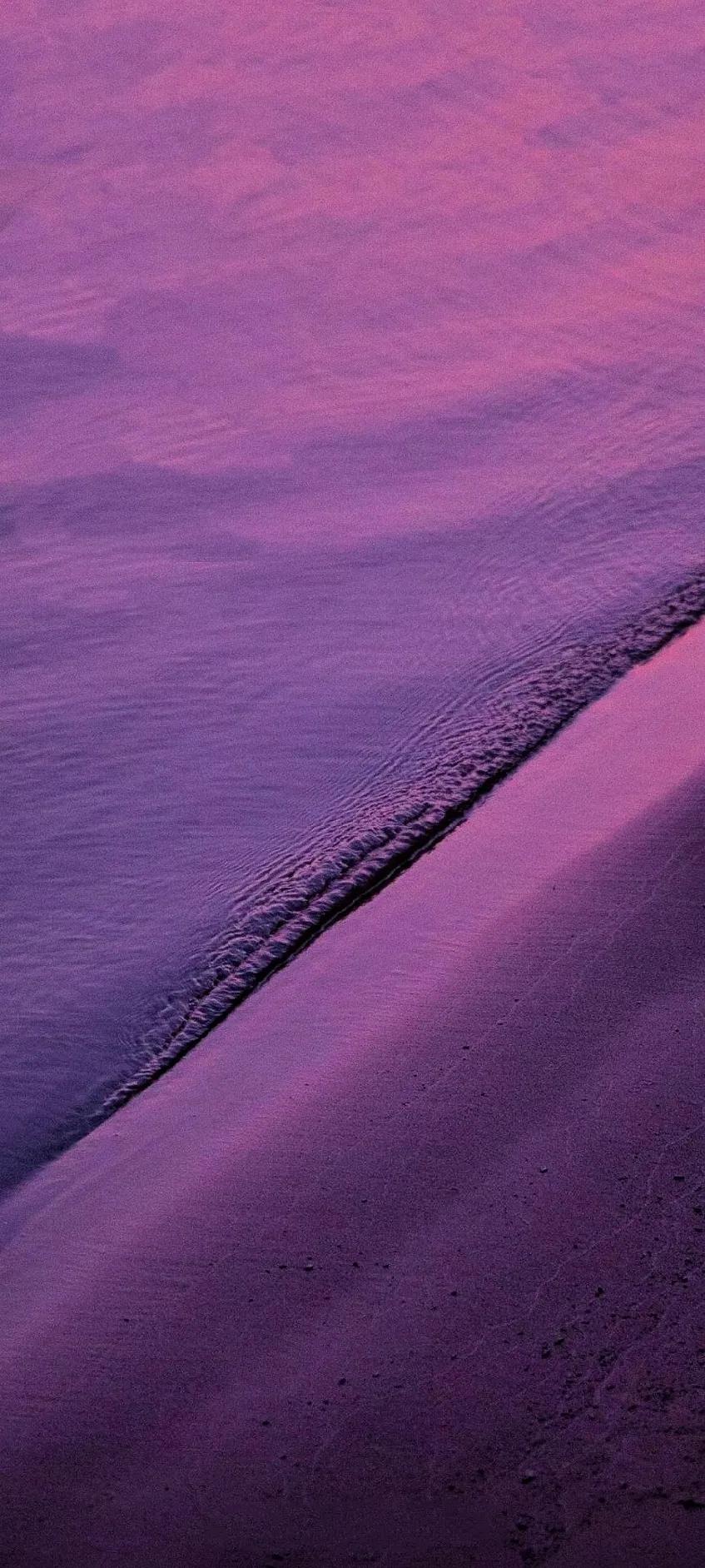 紫色异域风情古风,情调紫色