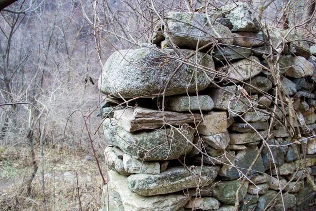 冬天寻访秦岭大峪，不但还有古道遗迹可循，还能见到这条野生广告