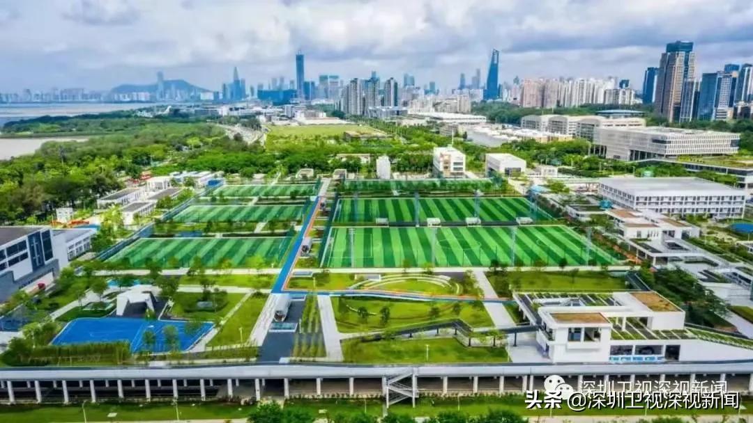 深圳未来重大利好,全国足球发展重点城市