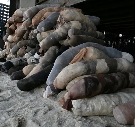 用头发可以清理石油爆上热搜!秃头网友狂喜:哈哈天生我材必有用