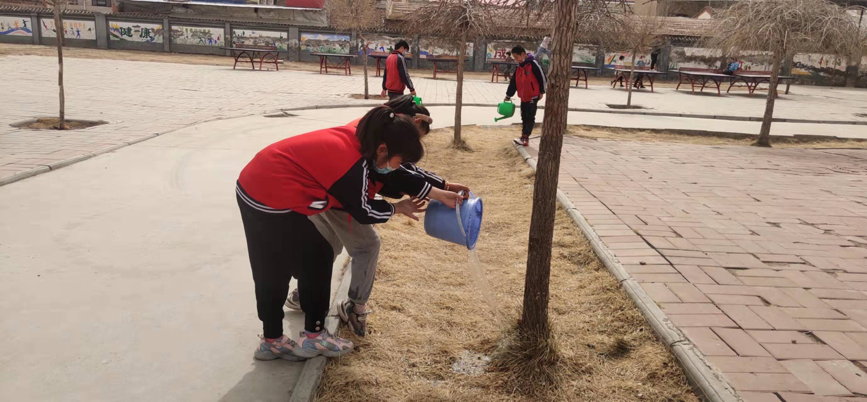 人人争当护绿小使者手抄报,争当护绿小使者班会资料