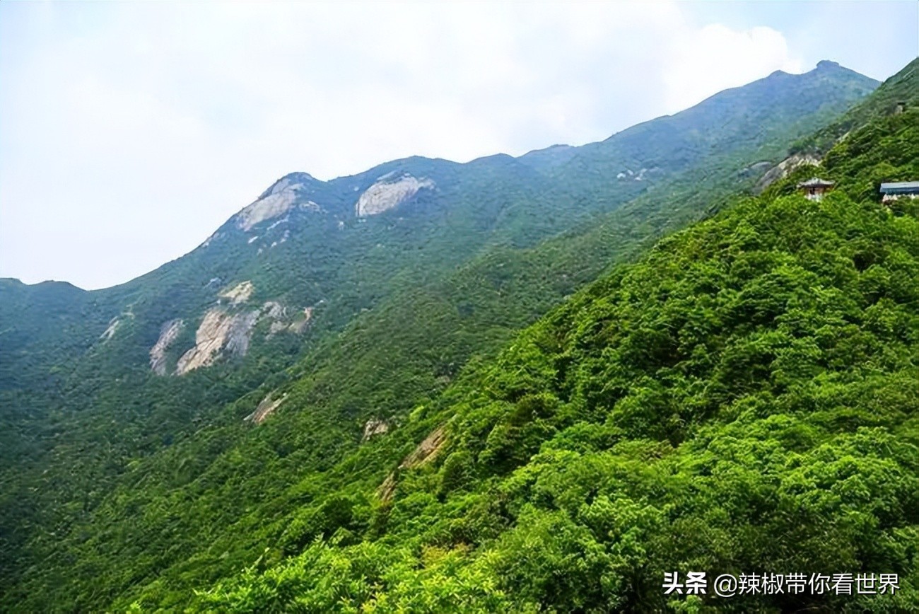 惠州市海岸线,惠州的海岸线