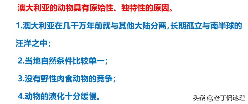 世界杯巡礼桑巴军团6,世界杯袋鼠军团