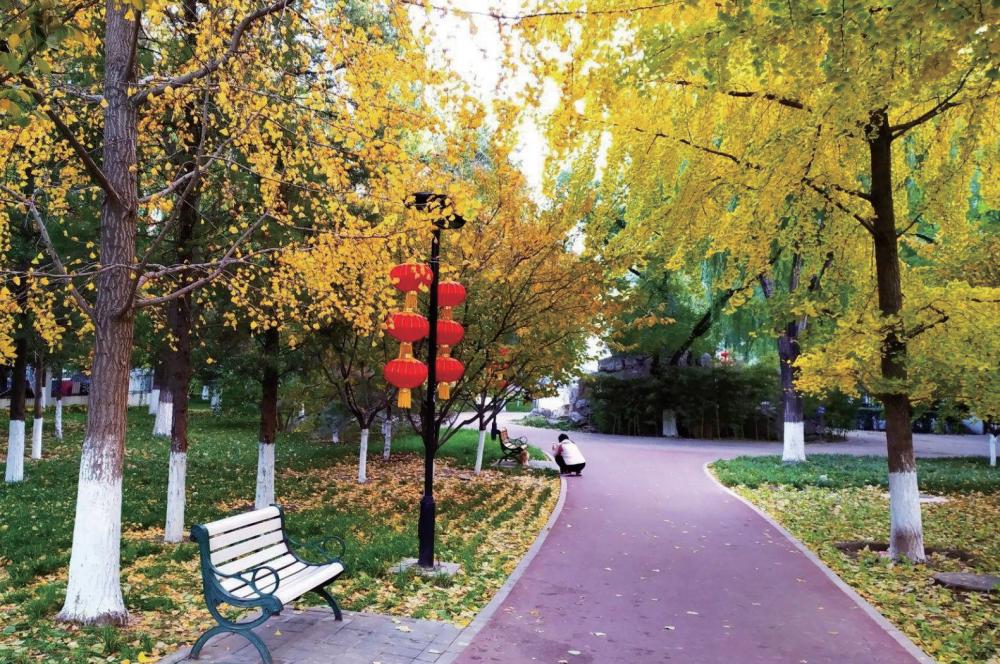 丰台的秋景大片，等您来定格！