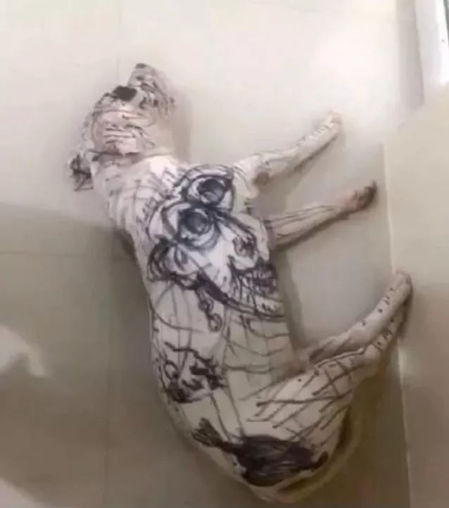 男朋友不小心将聊天记录投屏,和男朋友对话被投屏