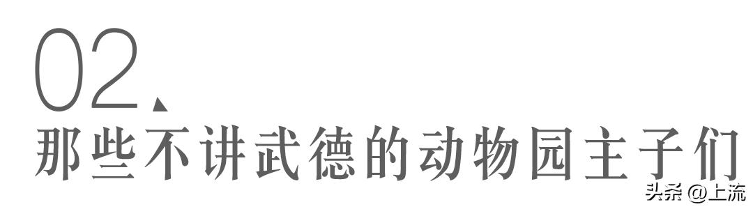 男孩景区遭鹈鹕灌顶,男孩被醍醐灌顶在什么景区