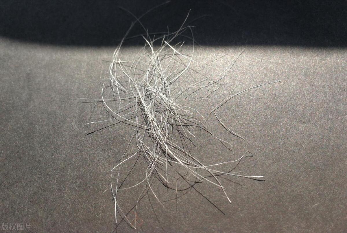 女性阴毛有什么用?由黑变白,预示着什么?医生告诉你答案