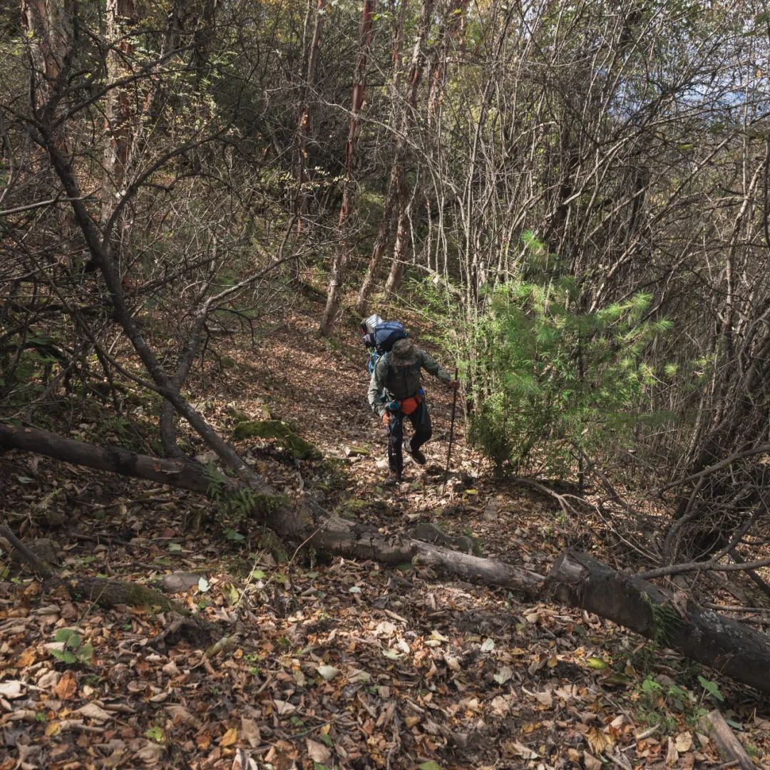 太白山是陕西最高点吗,秦岭最高峰太白山