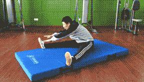 河南中考体育坐位体前屈评分标准,中考体育坐位体前屈评分标准2021