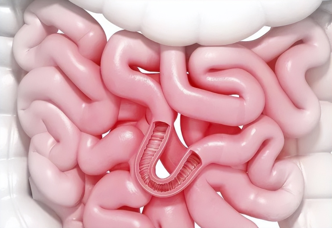 肠道不好的吃什么保护肠道,肠道常清理身体不生病