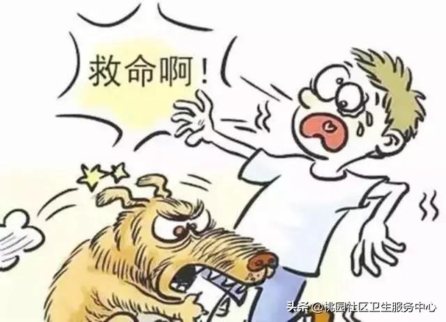 不小心被狗刮伤了怎么办,不小心被狗狗抓伤怎么办