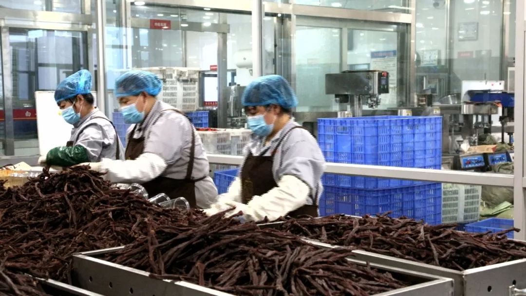 白音杭盖炭烤牛肉干非遗就业工坊入选全国“非遗工坊典型案例”