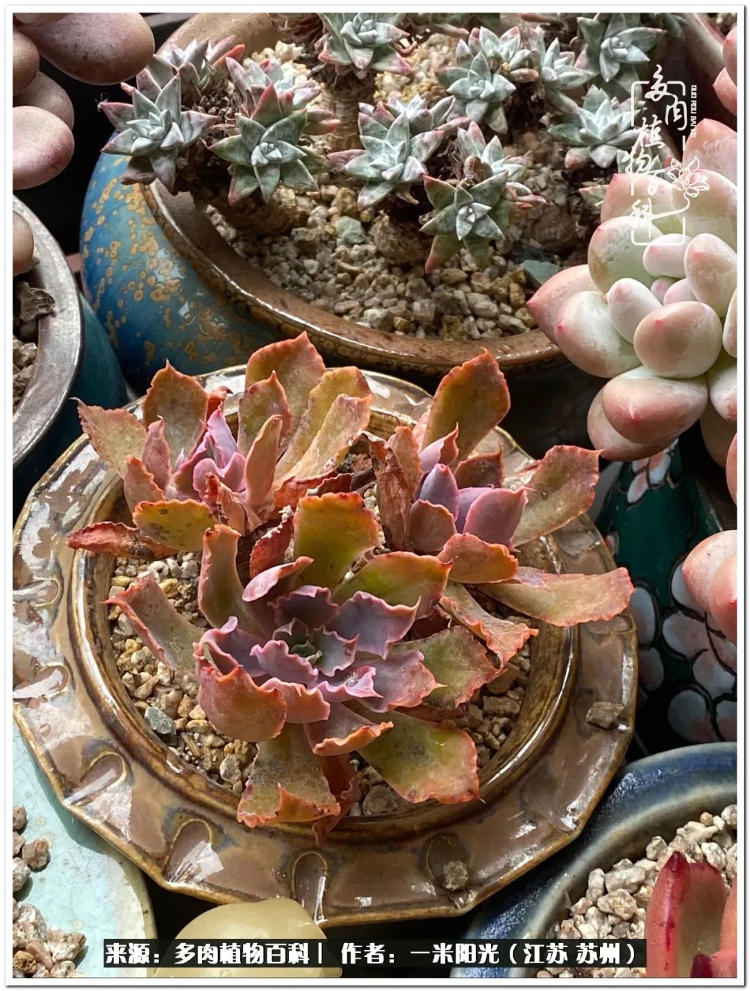 幸福就是珍惜当下所拥有的,珍惜当下所拥有的才是幸福的