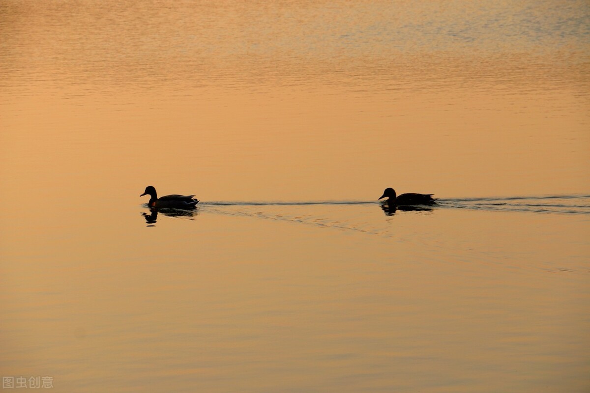 心脾两虚症是什么,气血双补治慢性疲劳综合征