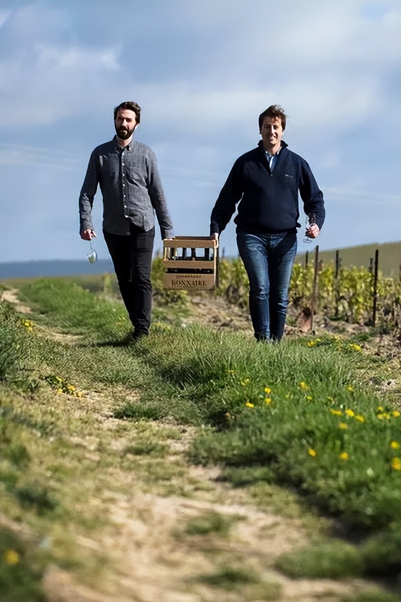 香槟葡萄园旅行,旅游香槟