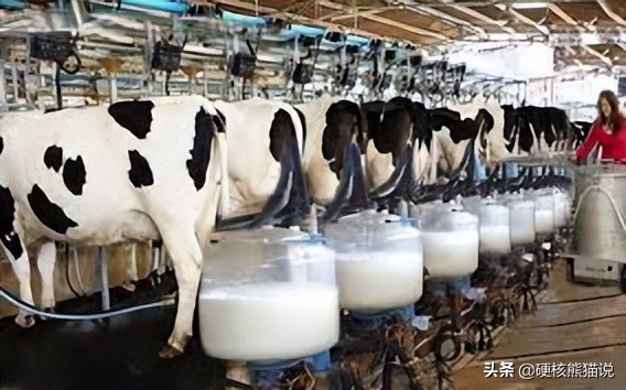 美国军机运奶粉,美国派军机运输奶粉