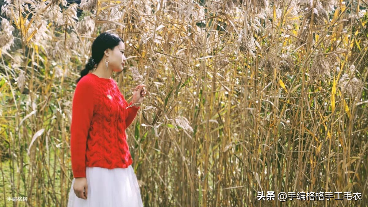 手编格格图集,手编格格海棠