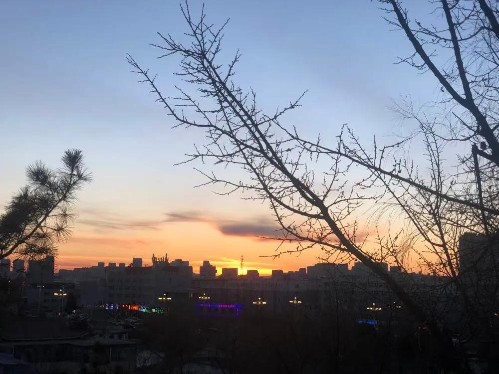 春天继续伴奏,葱花鲫鱼