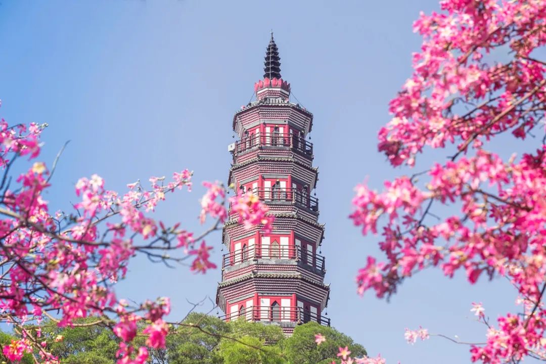 最好的十首唐诗,唐诗中最唯美的四字诗句