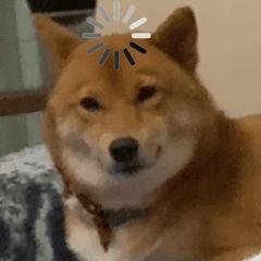 如何设置路由器让网速飞起来,怎么样设置路由器网速才会快