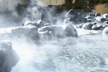 温泉城最新消息,依山林语社区温泉